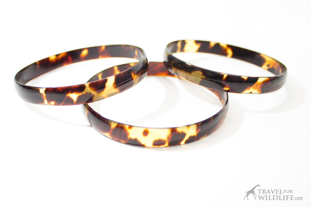 Illegal sea turtle shell bracelets