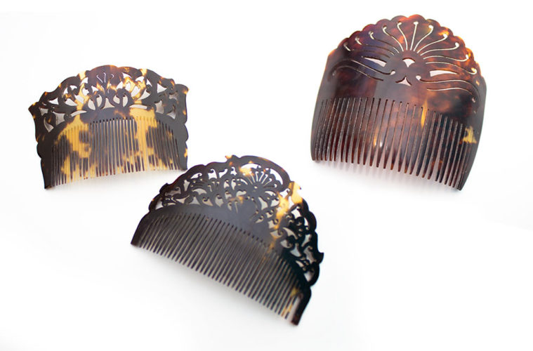 How to Identify and Avoid Sea Turtle Shell Souvenirs | Travel For Wildlife