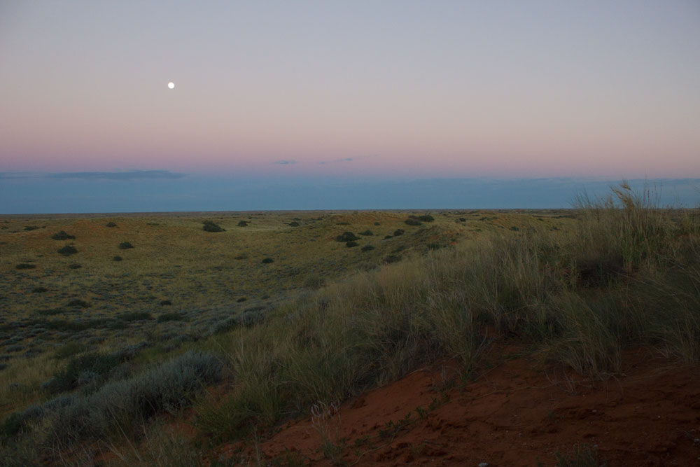 Full moon over desert