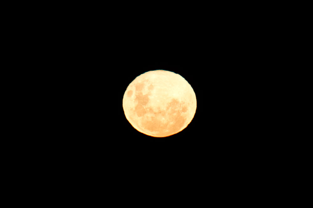 Kalahari full moon