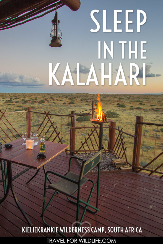 Visit the Kalahari in South Africa and enjoy a wilderness experience when you stay at Kieliekrankie. This wilderness camp is a wilderness enthusiast heaven. Kalahari desert animals, solitude, big night skies, and a view to die for!