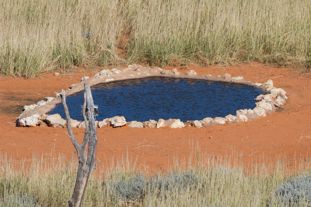 Kieliekrankie waterhole