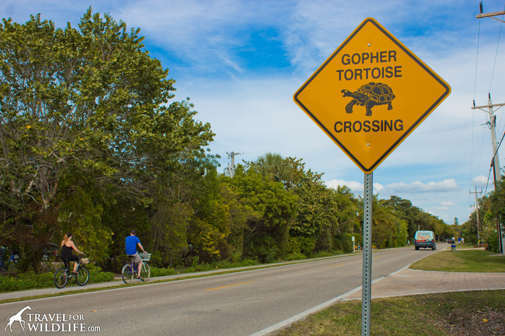 Crossing Signs | Official Pedestrian & Animal Crossing