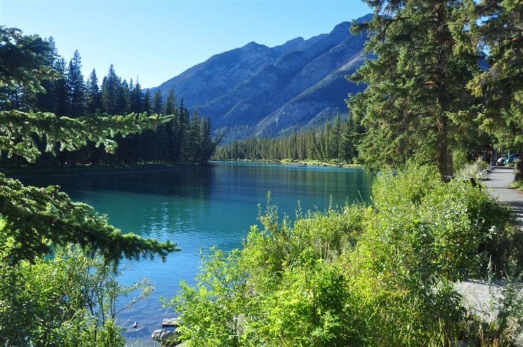 Banff cabin rentals by the river