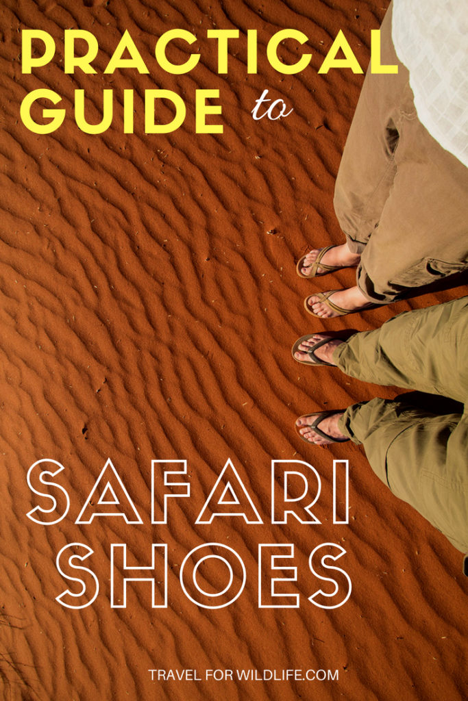 How to Choose your Safari Shoes Travel For Wildlife