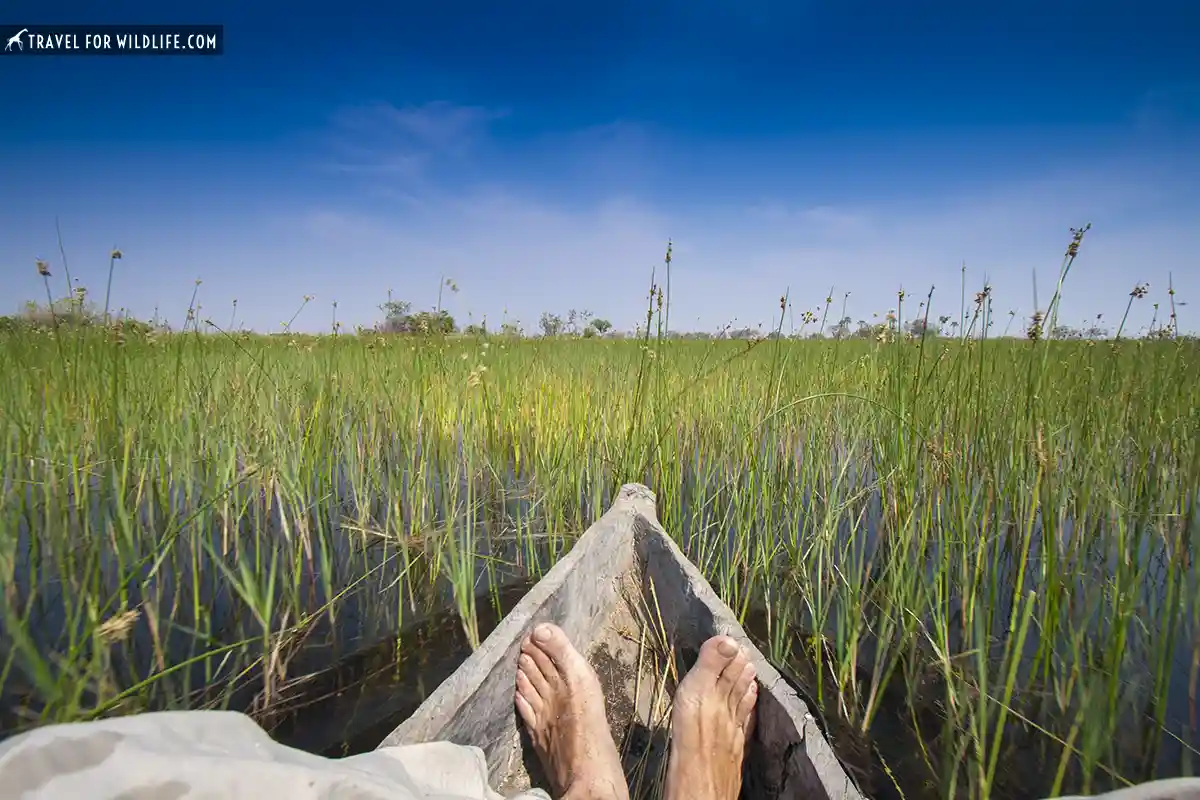 Okavango mokoro tour