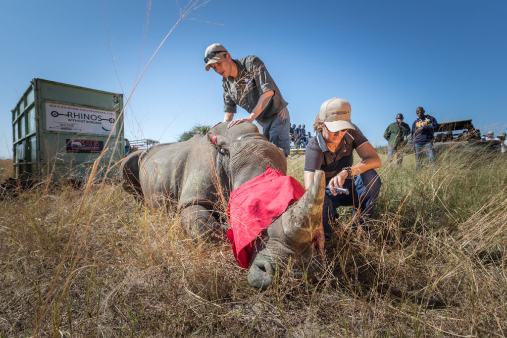 Botswana safari, sustainable tourism