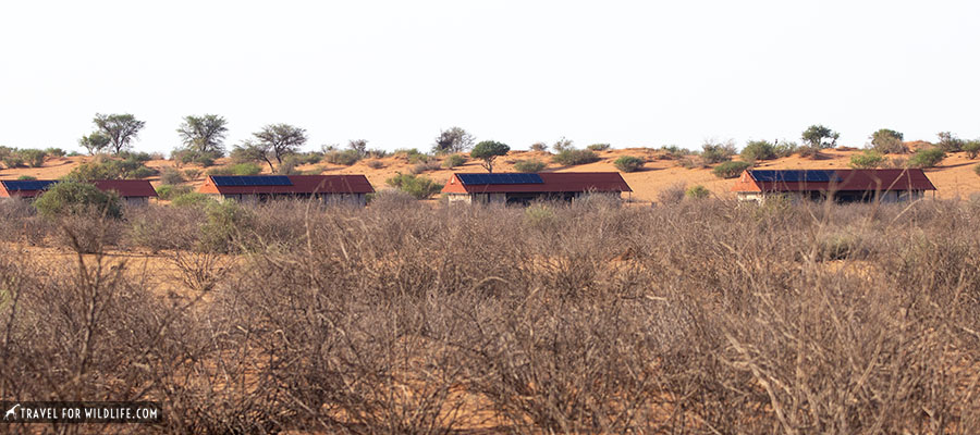 four safari tents behind bushes 