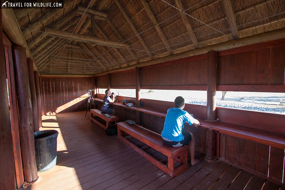 Nossob Rest Camp blind where the Nossob webcam is located