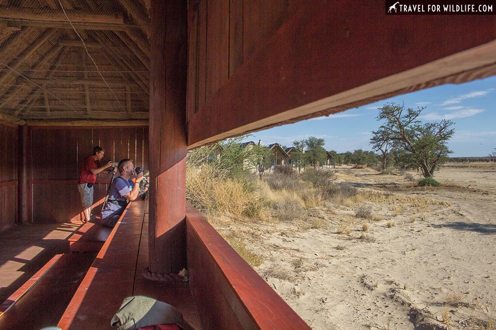 shooting from the bird hide at Nossob Camp in the Kgalagadi Transfrontier Park, South Africa