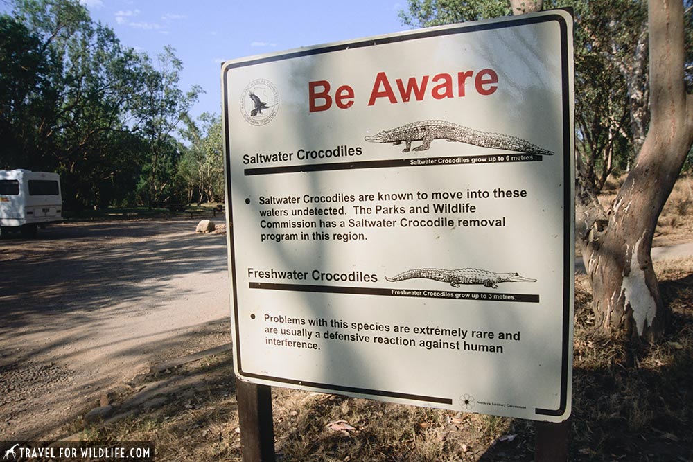 Crocodile warning sign, Australia