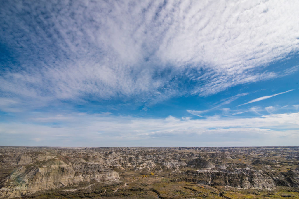 Dinosaur Provincial Park