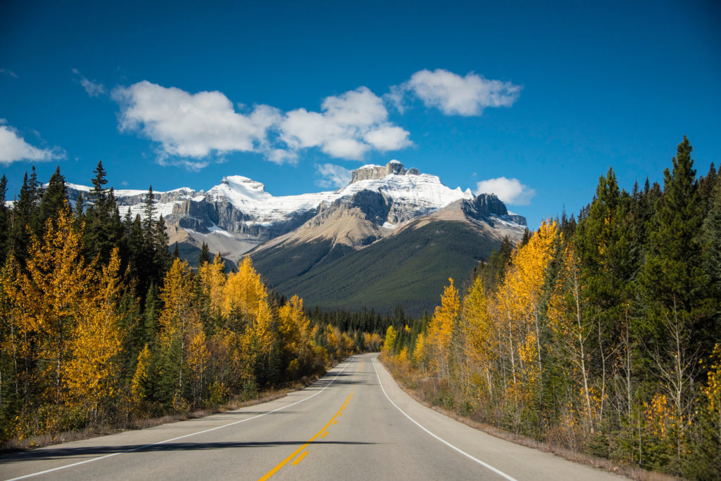 Icefield Parkway, Alberta