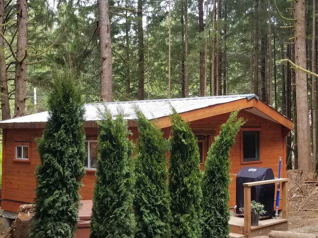 Cabin in the forest