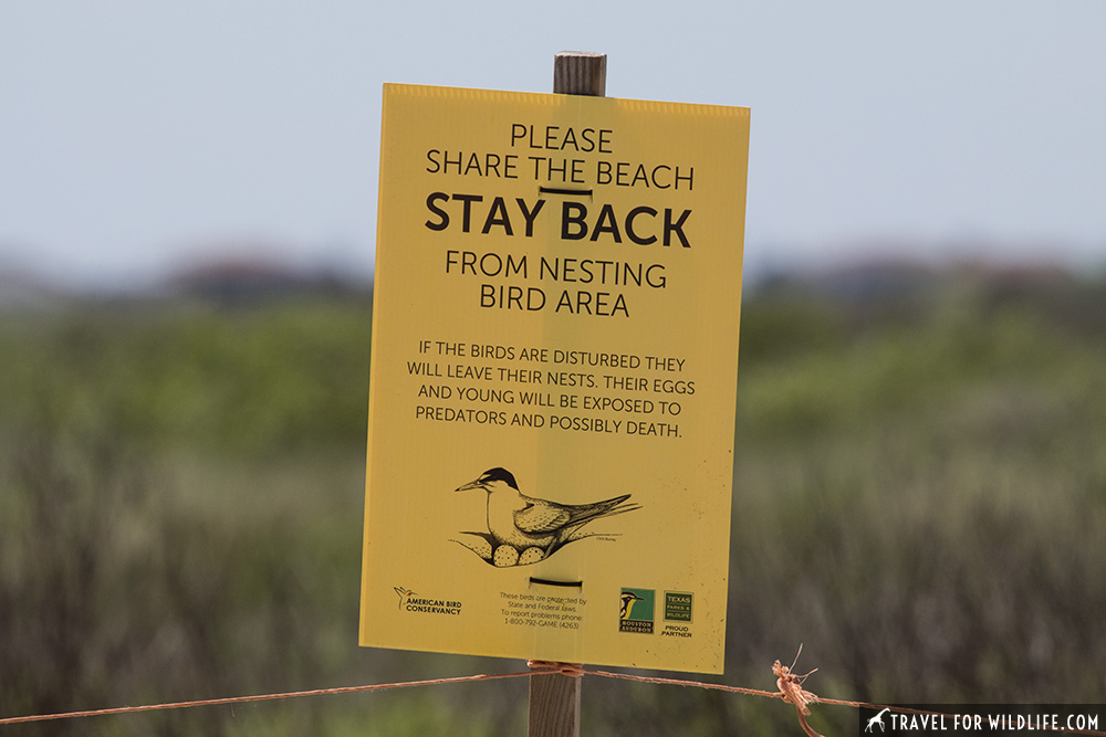 sign on a beach that reads: please share the beach. Stay back from nesting bird area