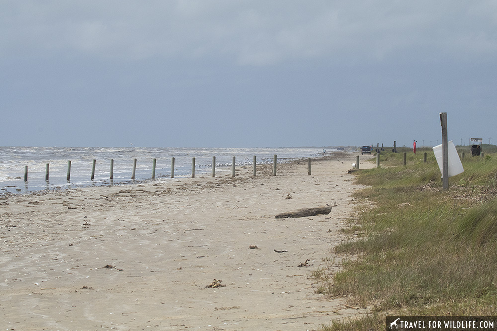 A beach at Sea Rim State park