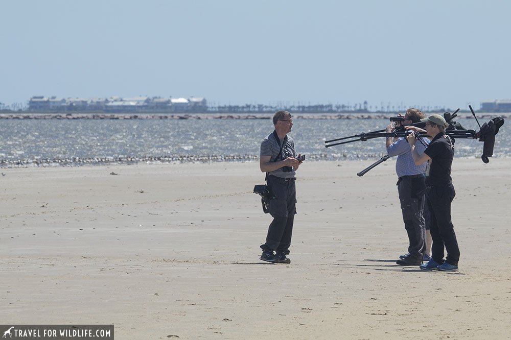 Birders carrying scopes on a beach during a birdwatching tour