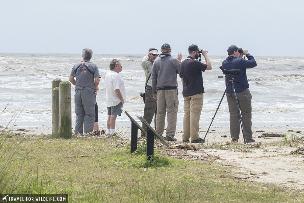 Group of birdwatcher on the beach