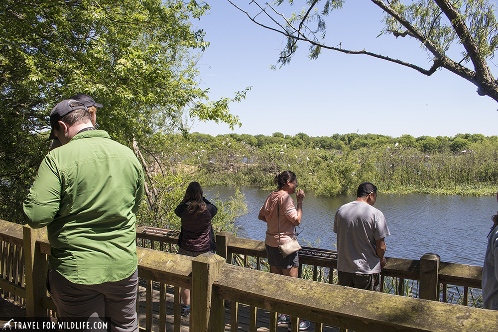 viewing platform