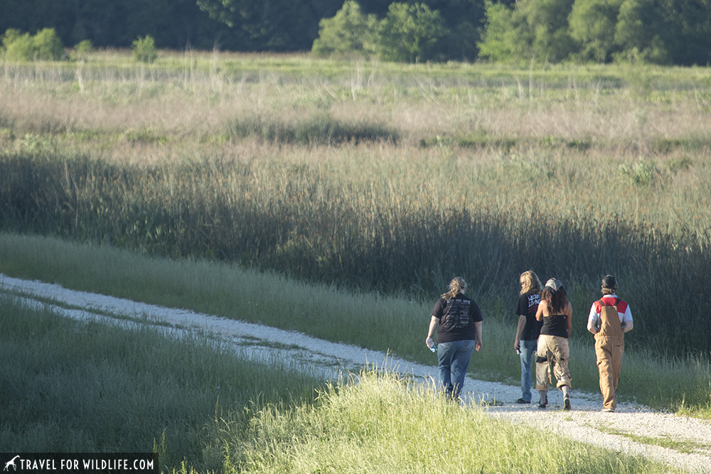group of people walking around marsh