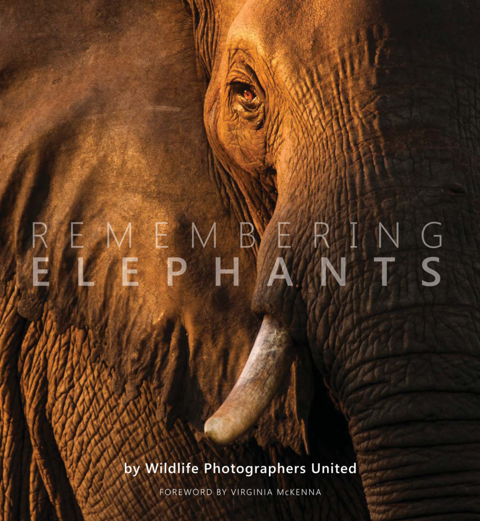 Remembering elephants book cover