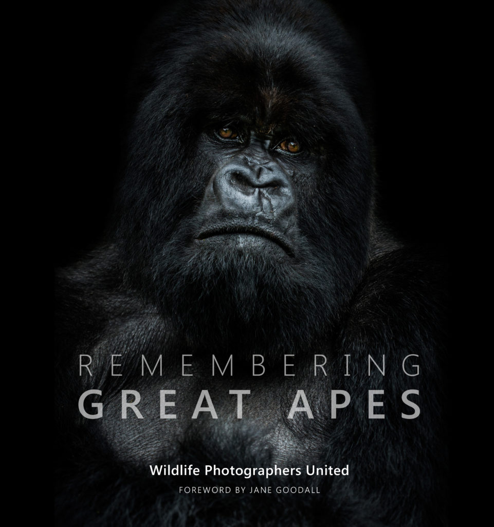 Remembering Great apes book cover