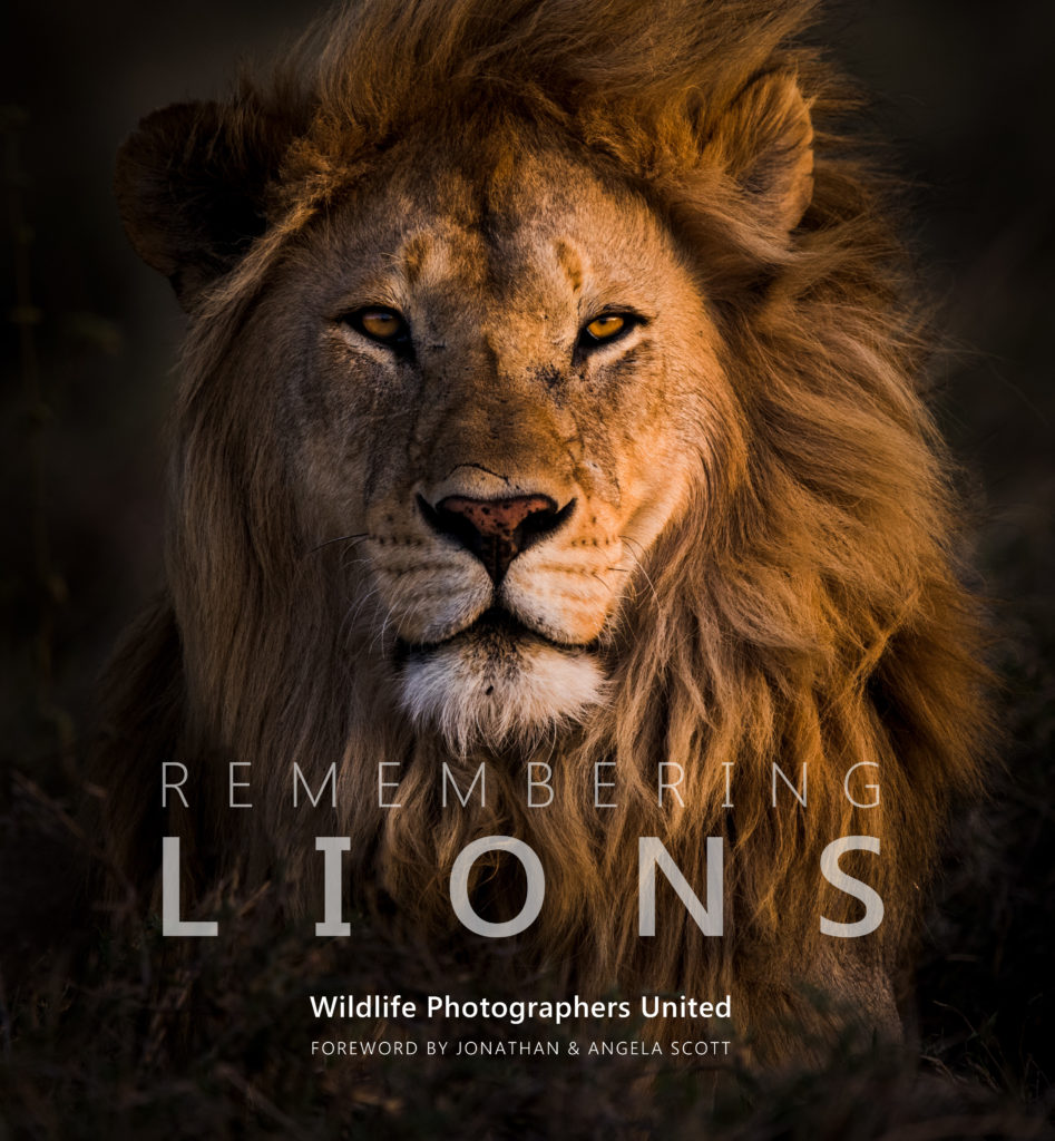 Remembering Lions book cover