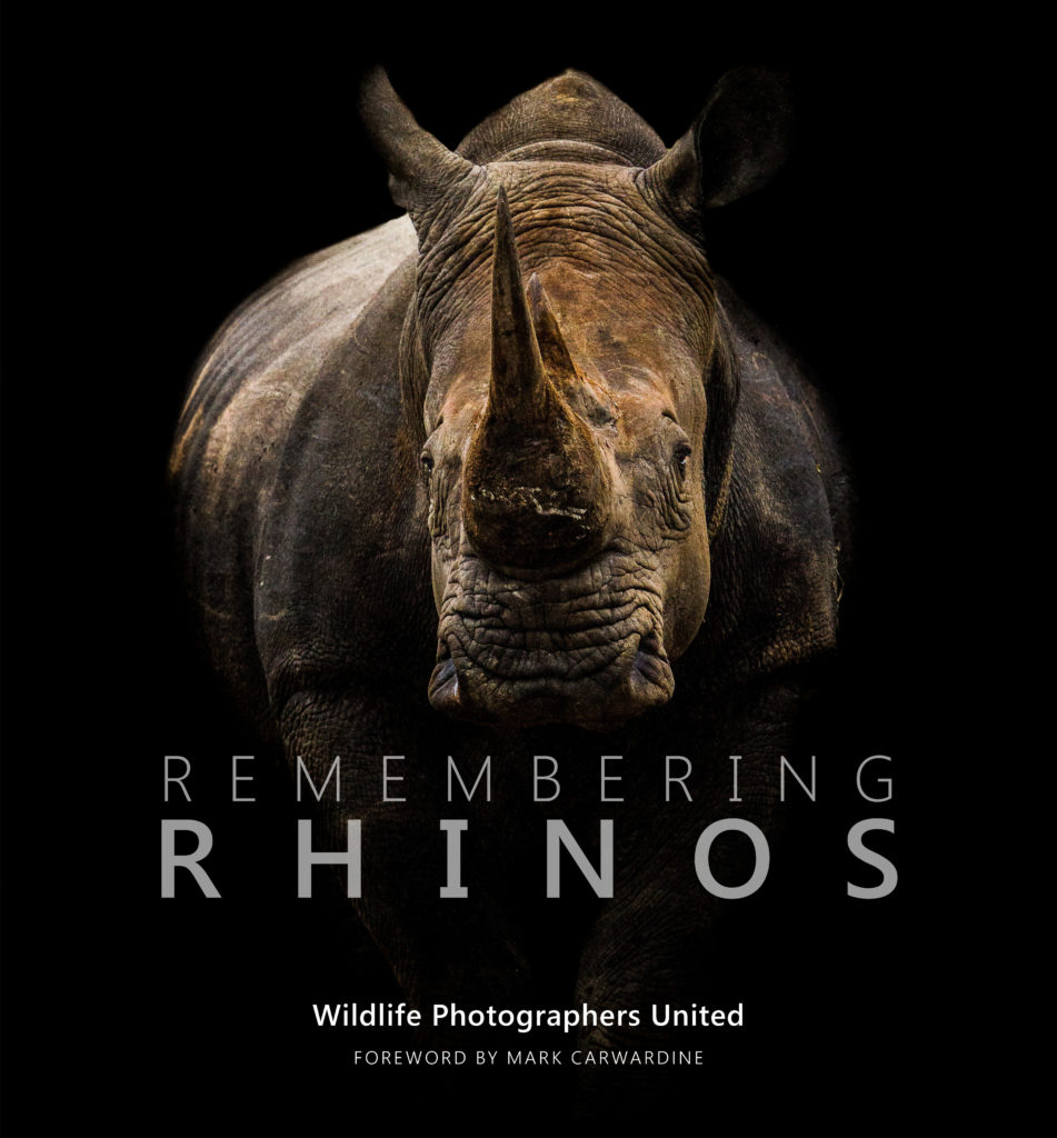 Remembering rhinos book cover