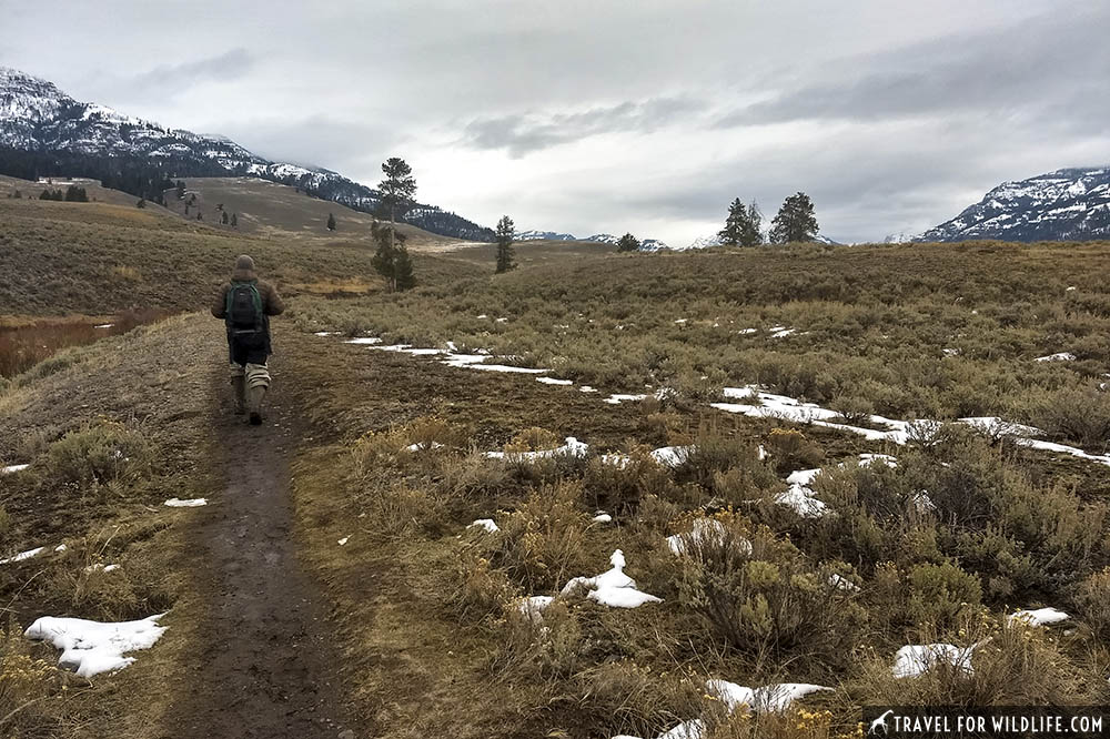 Hiking on a trail in Yellowstone in the fall