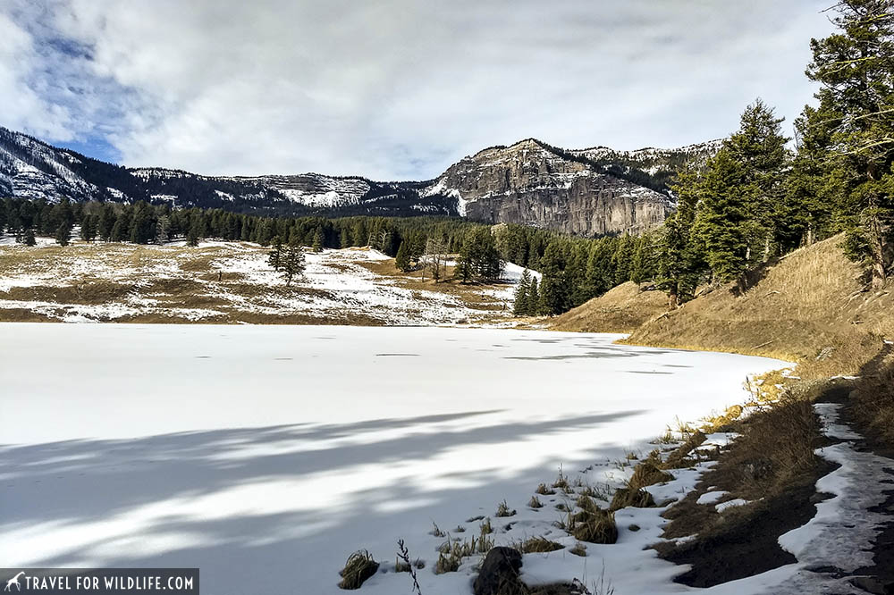 frozen Trout lake and mountains