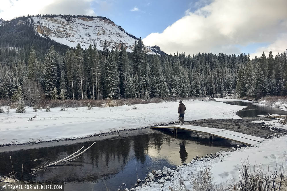 snowy creek