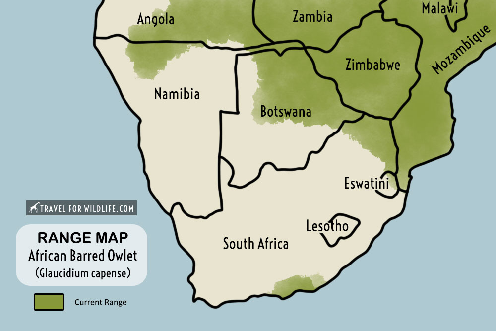 African barred owlet range map