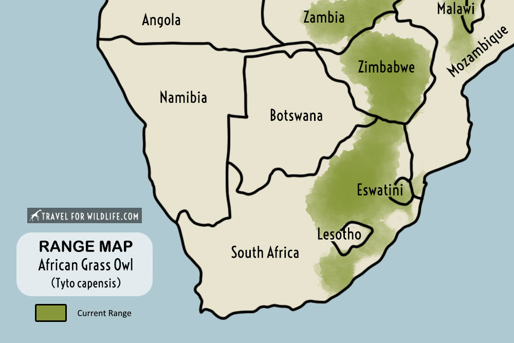 range map African Grass Owl