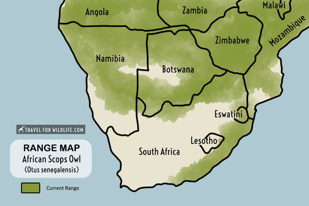 African Scops Owl range map