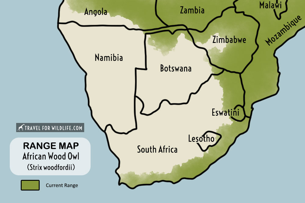 African wood owl range map