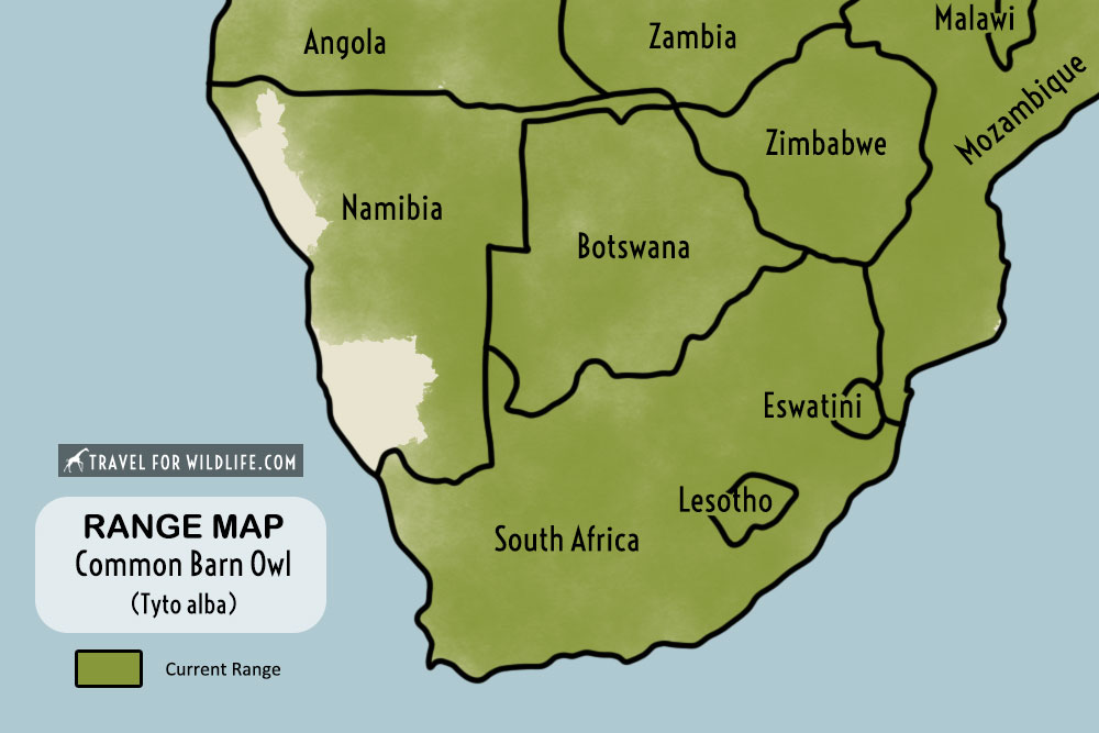 barn owl range map