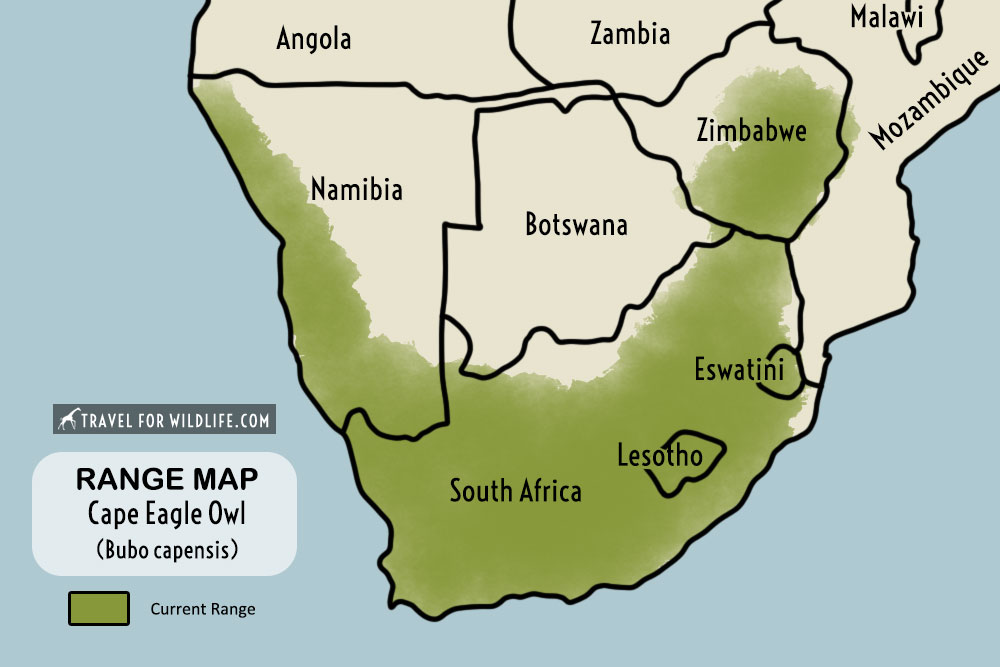 range map Cape Eagle Owl