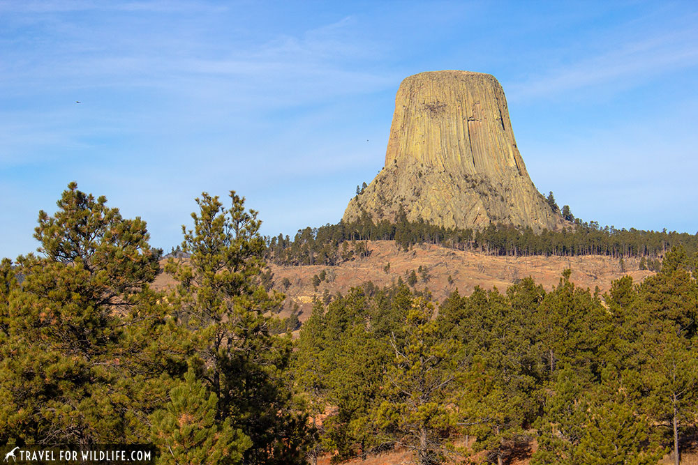 Devils Tower National Monument, Wyoming