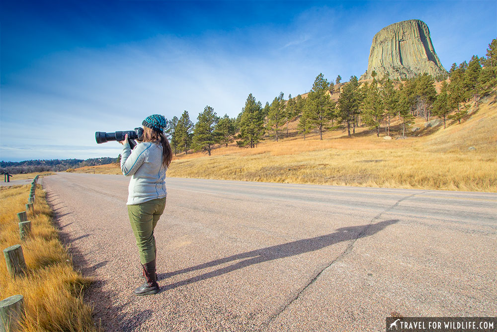 Devils Tower wildlife watching