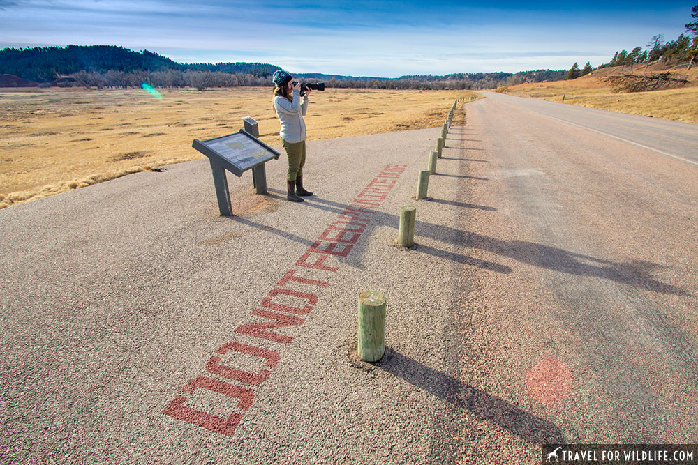 do not feed the prairie dogs at Devils Tower National Monument