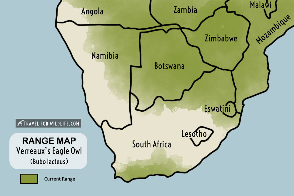 giant eagle owl range map