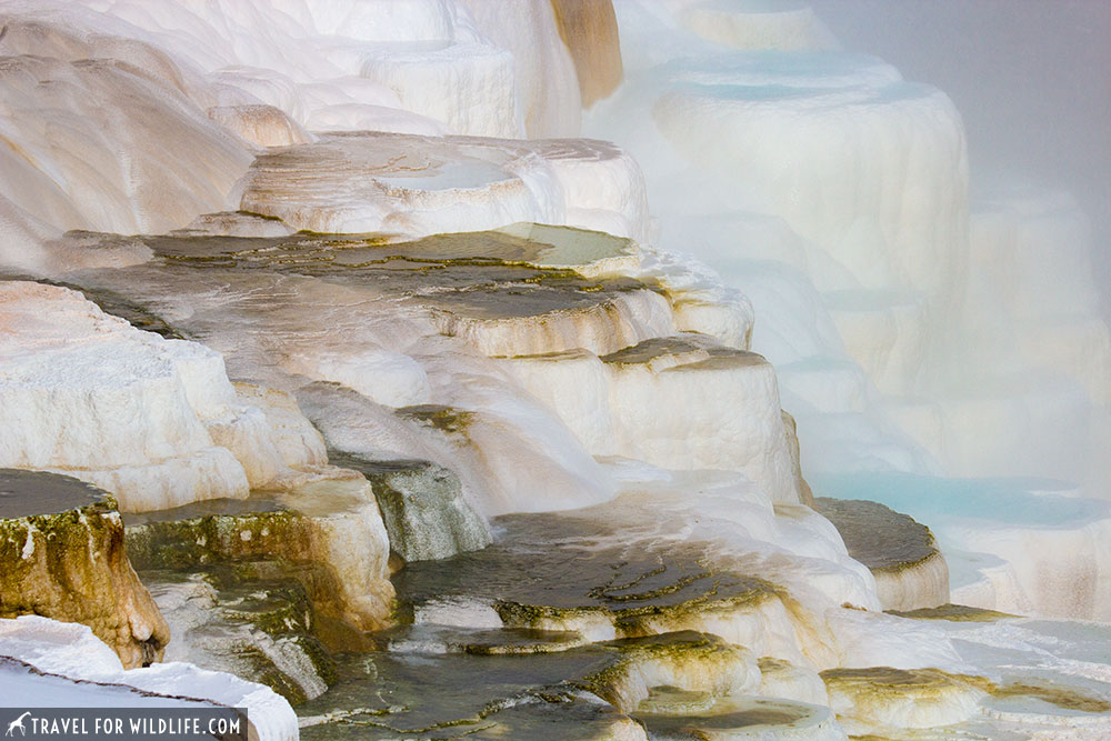 mammoth hot springs fall in Yellowstone