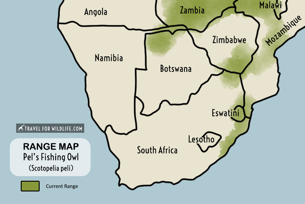range map, Pel's Fishing Owl