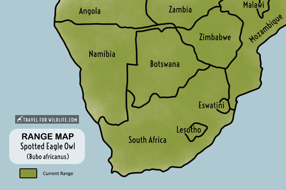 range map Spotted Eagle Owl