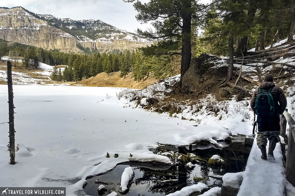 Bridge over frozen lake