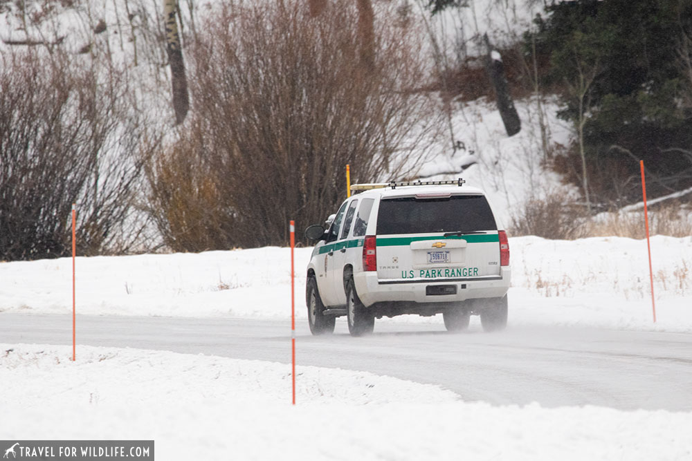 Yellowstone Park ranger vehicle