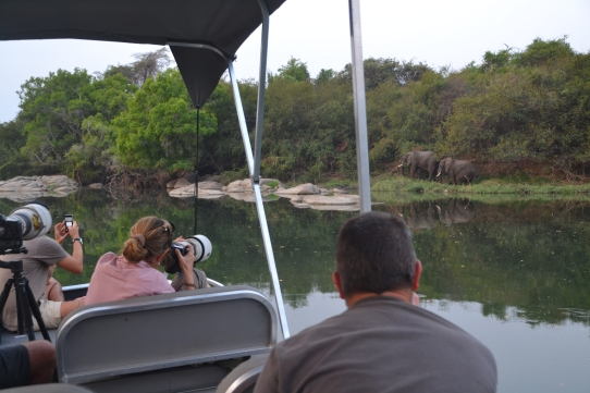 Boat watching elephants