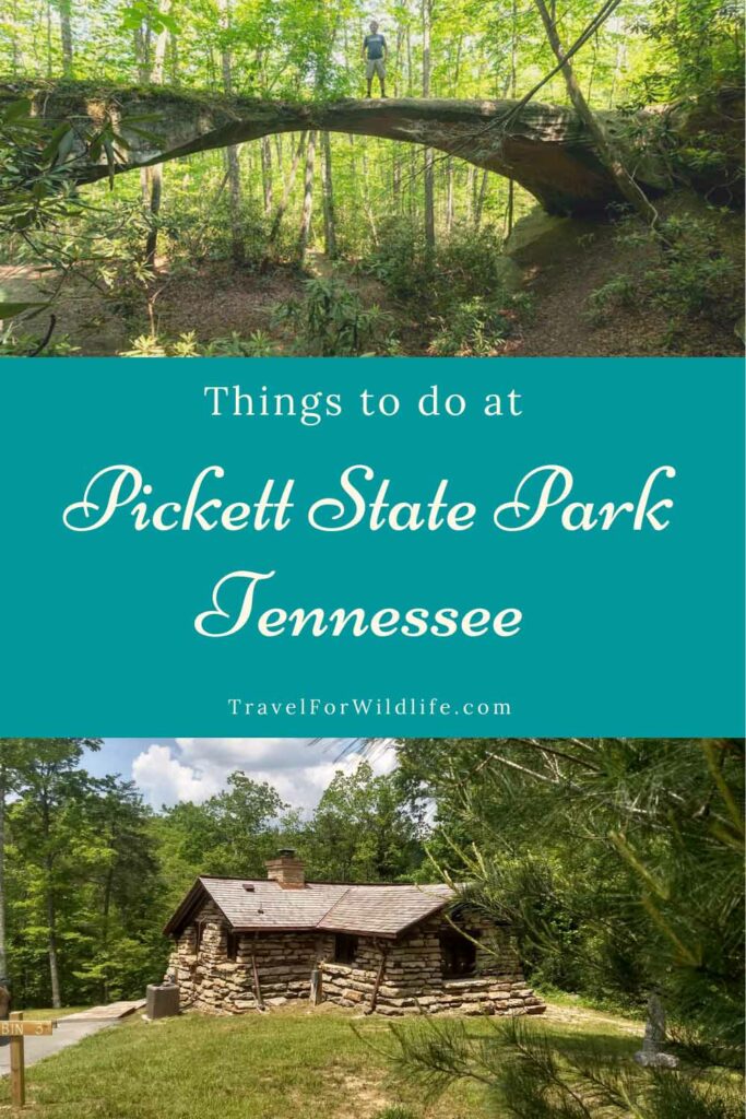 Pickett State Park