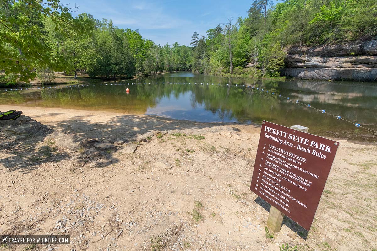 the beach on Arch Lake