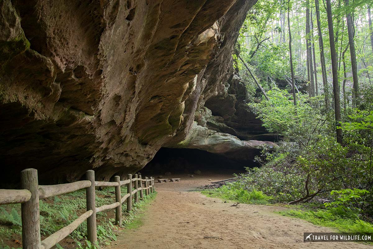 entrance to Hazard Cave